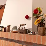 Basicnature * Lavello