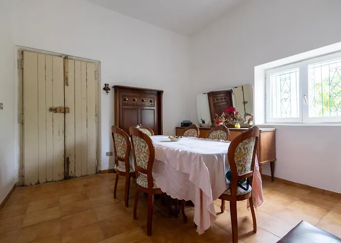 Basicnature - Shared With Host 라벨로