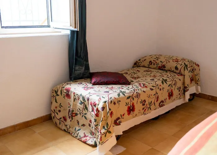 Basicnature - Shared With Host