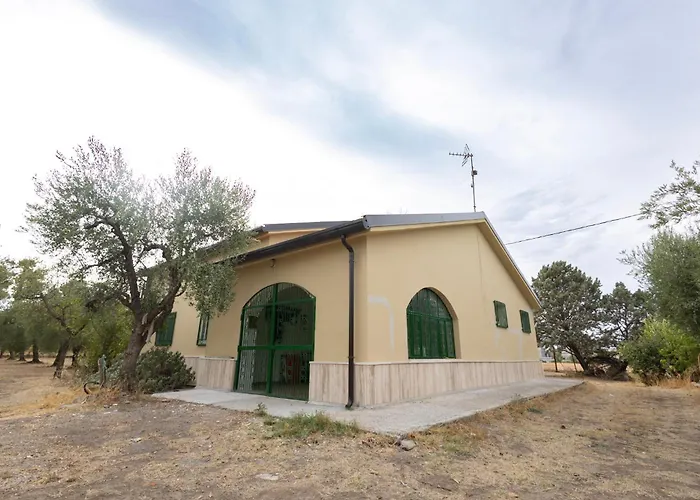 Basicnature - Shared With Host